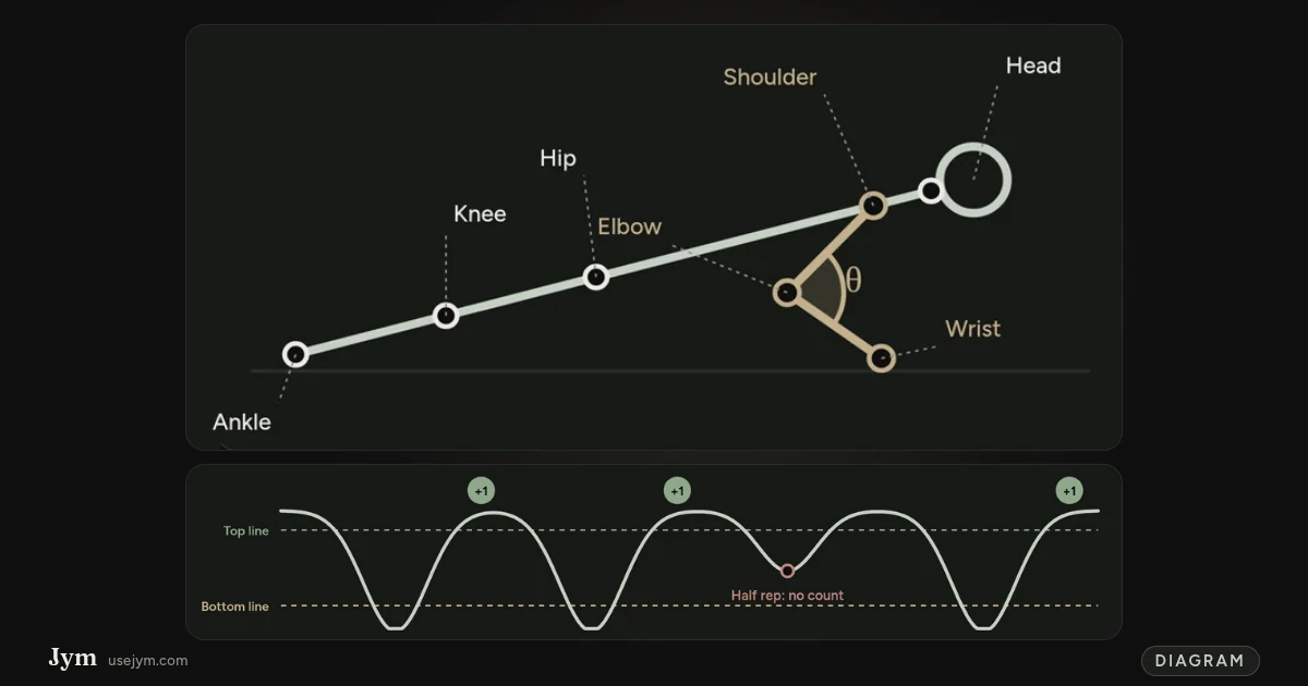 AI push-up counter diagram: a side-view skeleton with shoulder, elbow, wrist and elbow angle marked, above a graph where each full rep adds +1 and a half rep doesn't count